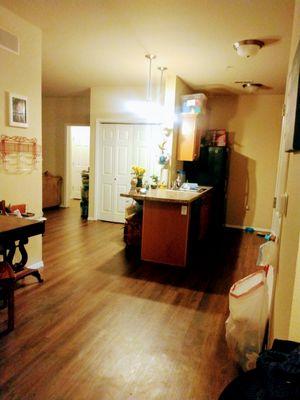 Better Late Than NVR Cleaning