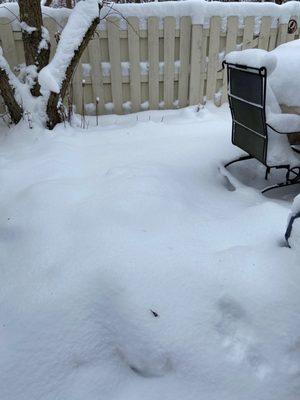 Big Bear Landscaping