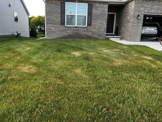 Independent Lawn Service