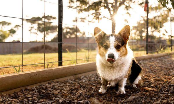 Coastal Kindred Photography