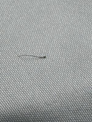 A hat with the bulb (dermal papilla) and a bit of sheath (a gel substance that is around the hair inside the follicle)