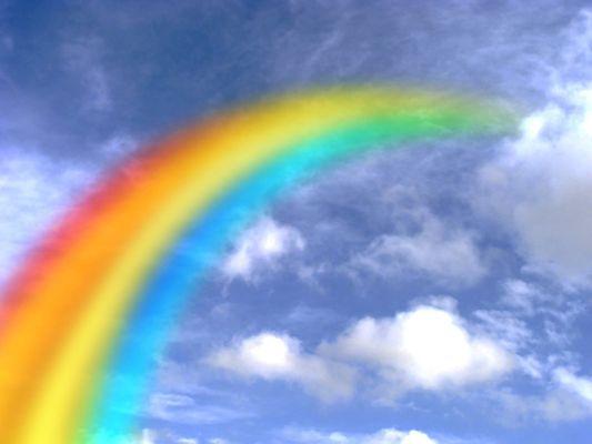 Rainbow's symbolize God's promises. Divine Love & Grace are with us all. Step into this truth & "Put Life in Your Living!" (TM) Rev.Rose
