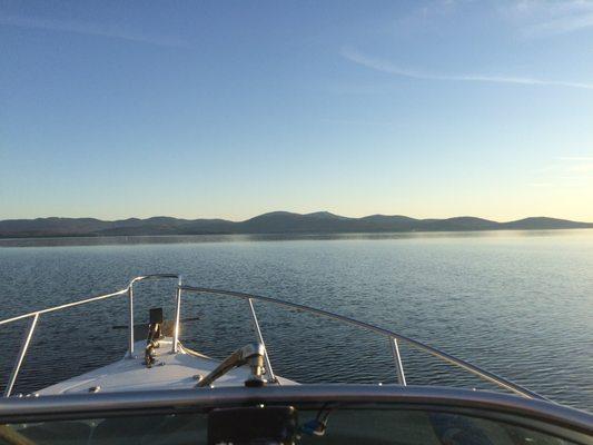 Captain Panda Charters