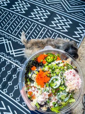 Check out my food blog on Instagram! @diningwithkels