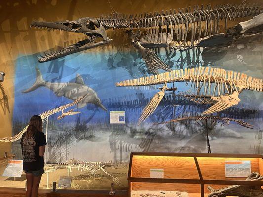 Wyoming Dinosaur Center