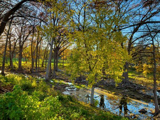 Afternoon light in Texas