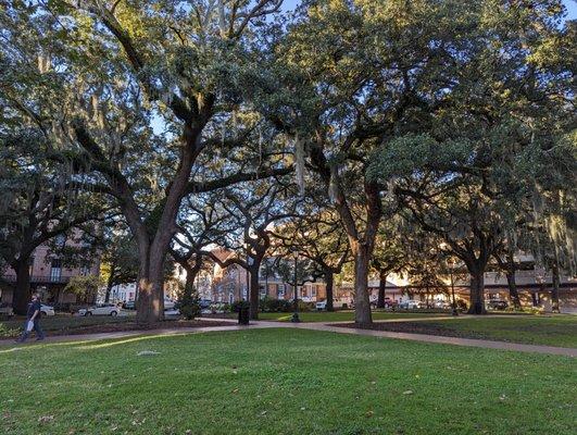Oglethorpe Square on Black Friday, November 24, 2023.