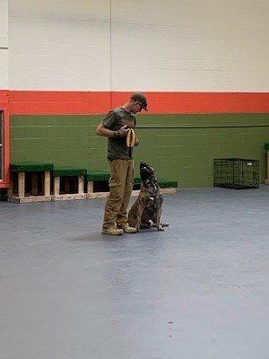 Owner and trainer Tanner L. working with his personal/family dog.