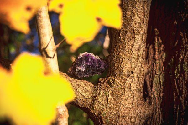 Chasing Clouds Ascending