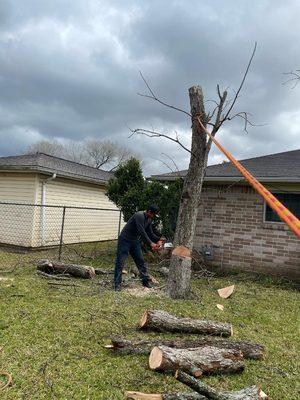 Anival's Landscaping