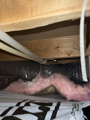 Carolina King Restoration