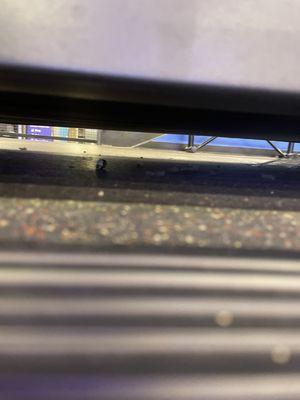 Sky Zone Trampoline Park