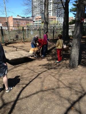 Union Street Dog Park