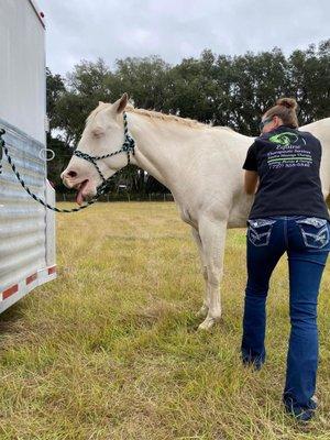 Equine Therapeutic Services