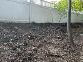 Middlesex Tree Service