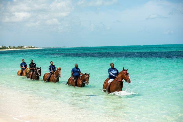 Unique Tours & Rentals