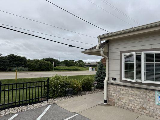 North Shore Doggy Daycare