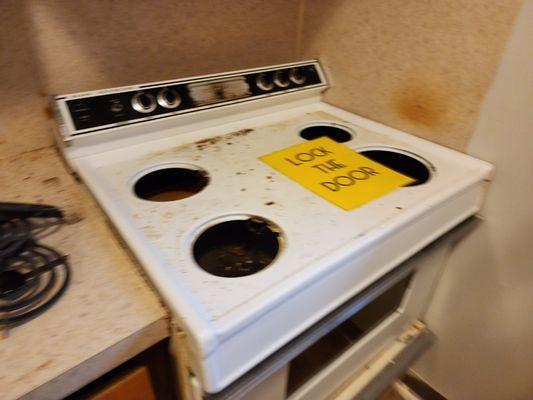 Jennifer's Specialist Cleaning Services