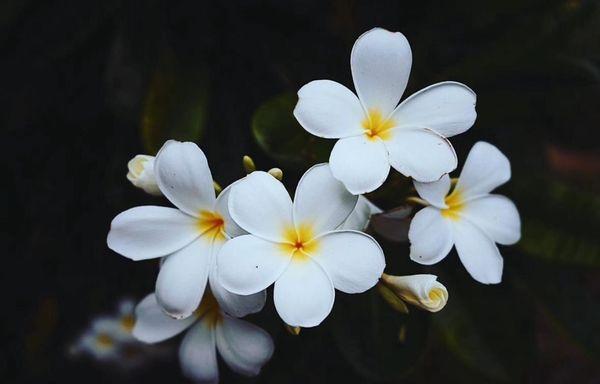 Retro Scan Productions