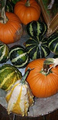 Some little pumpkins that we are already enjoying