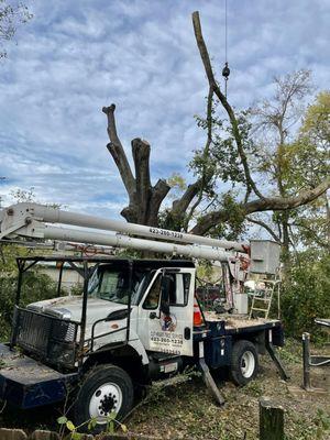 Cut Right Tree Service