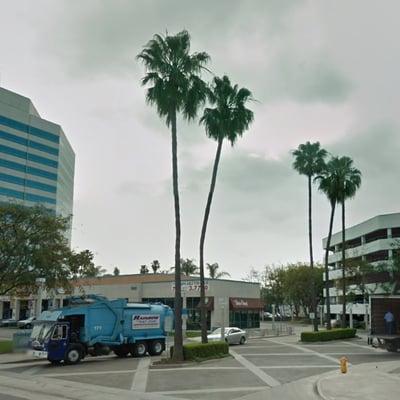 Trashy trees just like the trucks that drive by