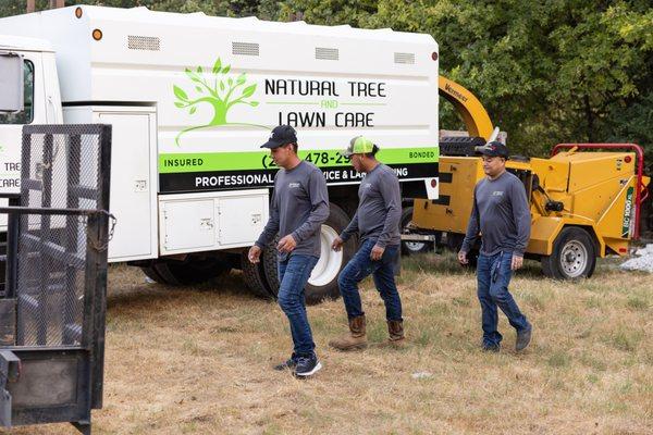 Natural Tree and Lawn Care