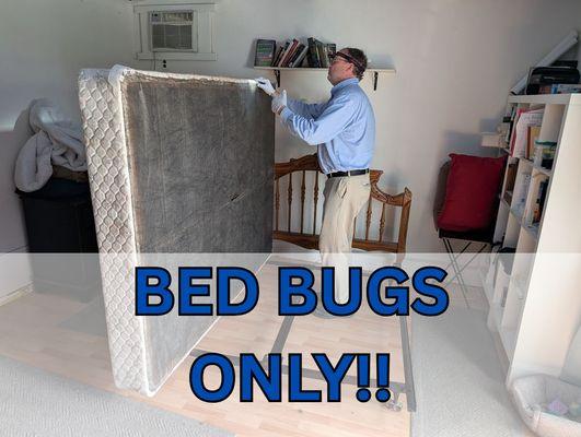 Rest Assured Pest Control