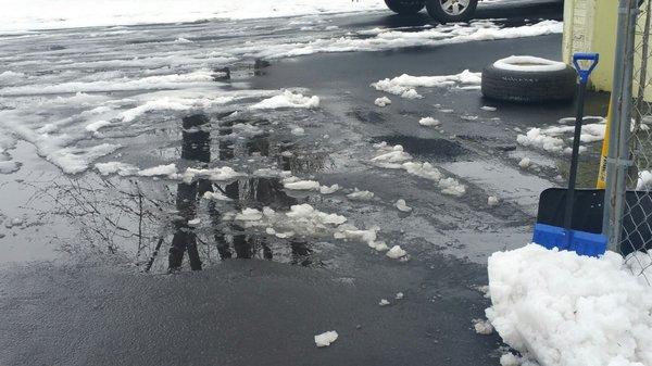 Trampler Bros Paving