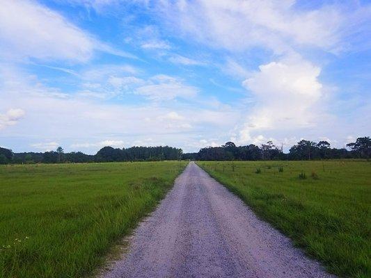 Blue path, I must've said this is gorgeous 10 times