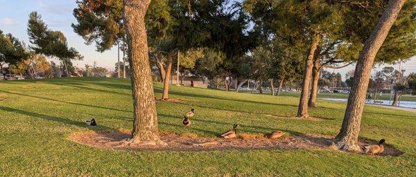 Don Knabe Community Regional Park