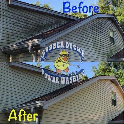 Rubber Ducky Power Washing