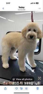 Suds N’ Bones Grooming Parlor