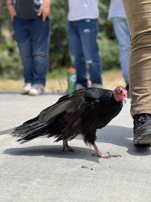 Shady Creek Outdoor School