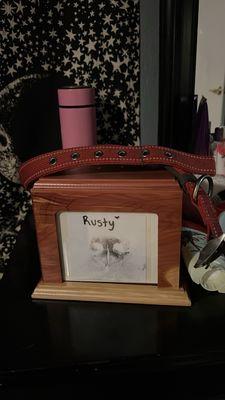 Look Ahead Veterinary Services