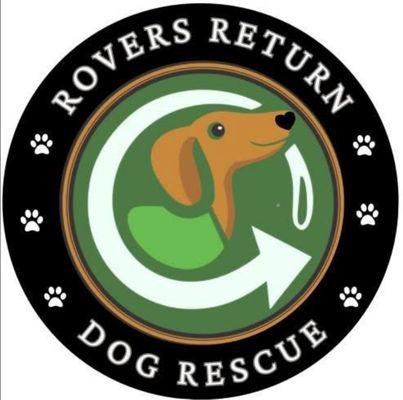 Rovers Return Dog Rescue