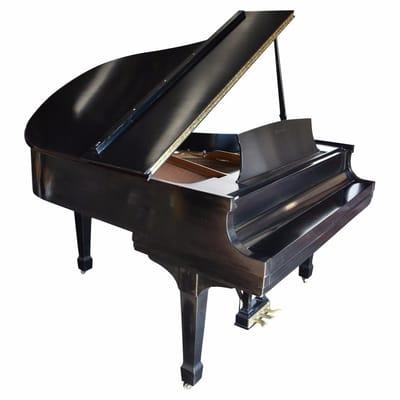 Shabtai's Auction House