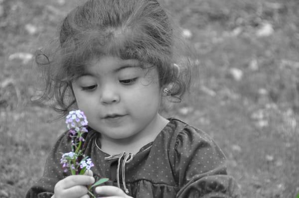 Moondance Production