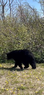 Affordable Car Rental