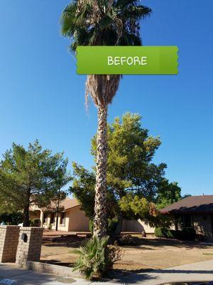 Before when our yard was an eye sore