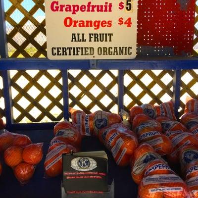 Seley Red Grapefruit, organic and fresh