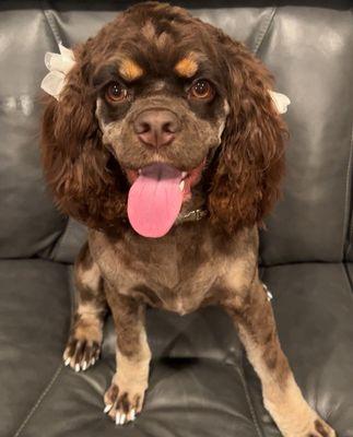 Sit Means Sit Abilene/San Angelo