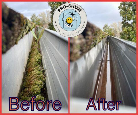 Haven't had your gutters cleaned in a while?
Look no further than Pro Shine !
Contact me at 916-770-0134