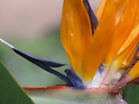 Wellness Begins Within....