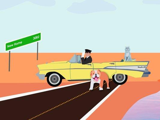 Seymour the bulldog and Felix the cat jump in the yellow Bel Air in New England with the Pet Chauffeur and head off to their new home in CA