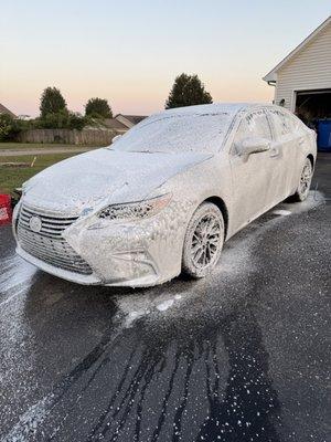 Polish & Performance