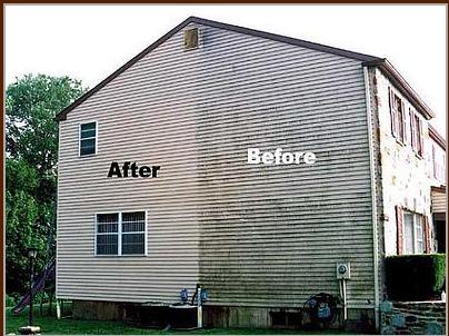 Upholstery Carpet Care
