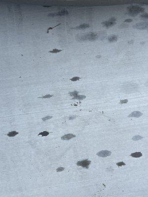 Utah Auto Repair Services