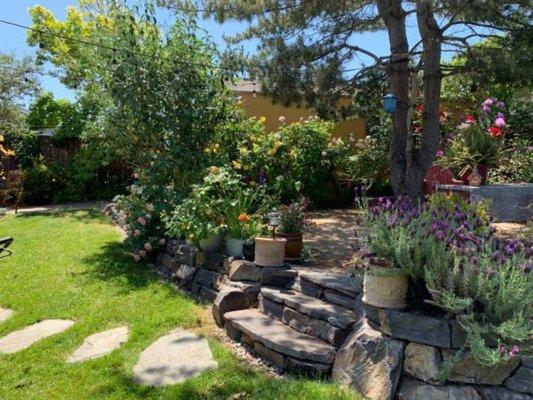 Yard Clean Up's Landscaping