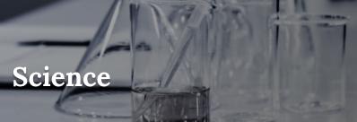 Whether your student needs help with Math, Science, English, Foreign Language, History, or learning the English language, Call us today!